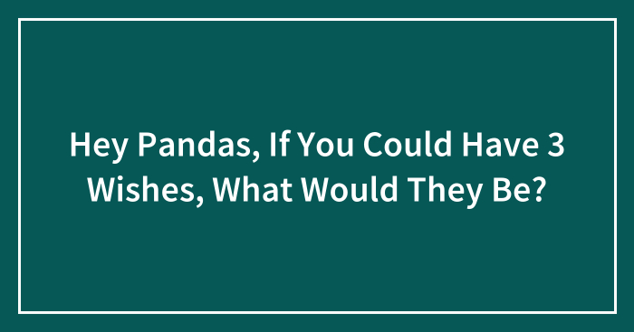 Hey Pandas, If You Could Have 3 Wishes, What Would They Be? (Closed)