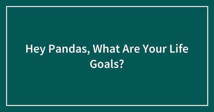 Hey Pandas, What Are Your Life Goals? (Closed)