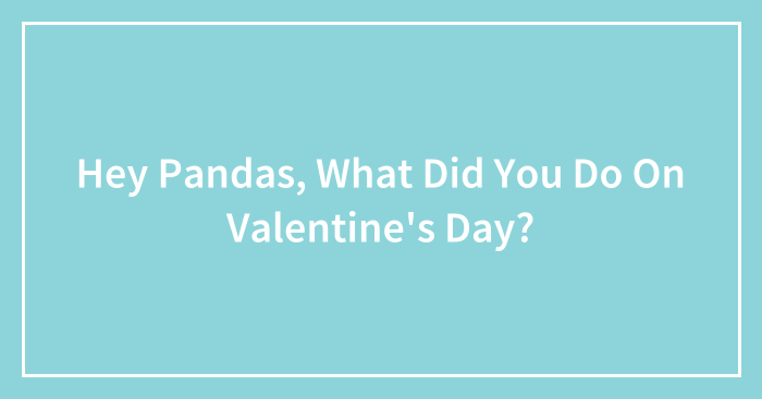 Hey Pandas, What Did You Do On Valentine’s Day? (Closed)