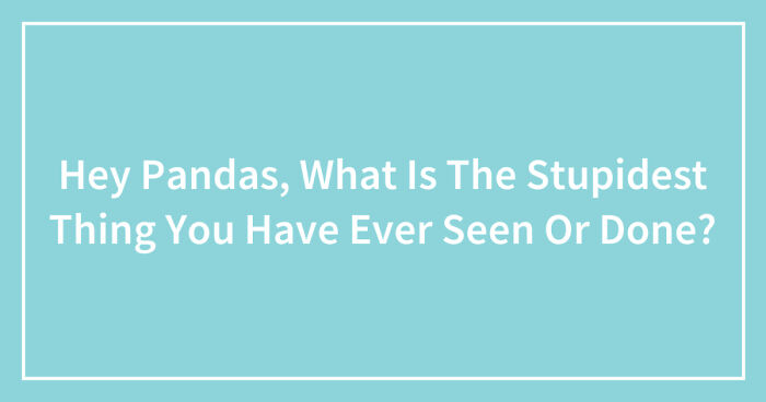 Hey Pandas, What Is The Stupidest Thing You Have Ever Seen Or Done? (Closed)