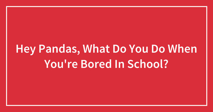 Hey Pandas, What Do You Do When You’re Bored In School? (Closed)