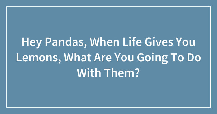 Hey Pandas, When Life Gives You Lemons, What Are You Going To Do With Them? (Closed)
