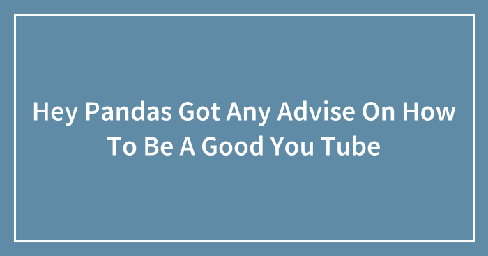 Hey Pandas Got Any Advise On How To Be A Good You Tube