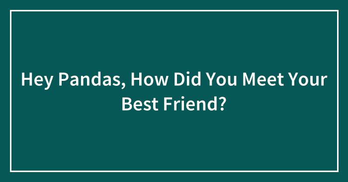 Hey Pandas, How Did You Meet Your Best Friend?