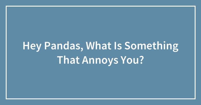 Hey Pandas, What Is Something That Annoys You? (Closed)
