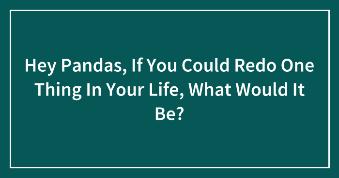 Hey Pandas, If You Could Redo One Thing In Your Life, What Would It Be?