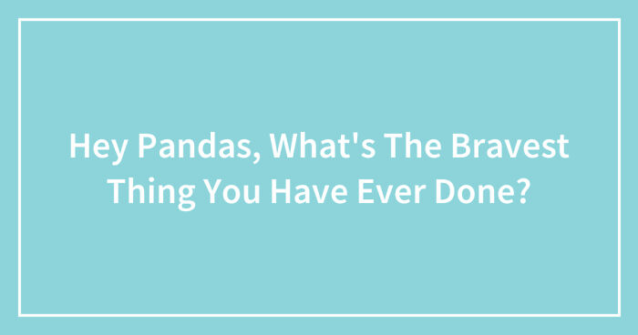 Hey Pandas, What’s The Bravest Thing You Have Ever Done? (Closed)