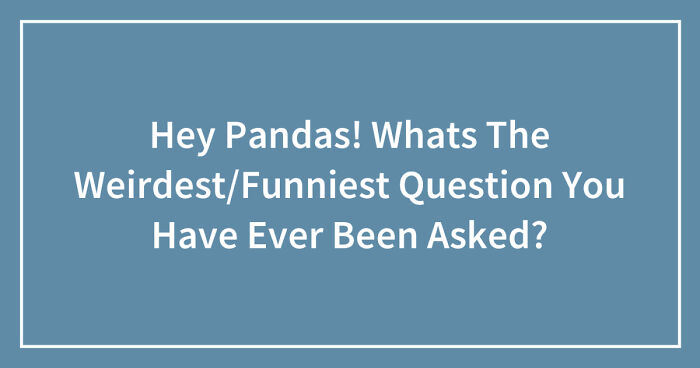 Hey Pandas, What’s The Weirdest Or Funniest Question You Have Ever Been Asked? (Closed)