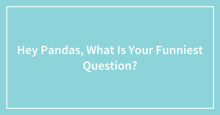 Hey Pandas, What Is Your Funniest Question? (Closed)