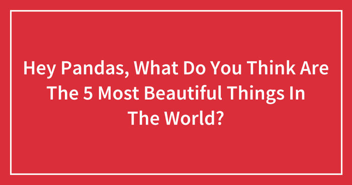 Hey Pandas, What Do You Think Are The 5 Most Beautiful Things In The World? (Closed)