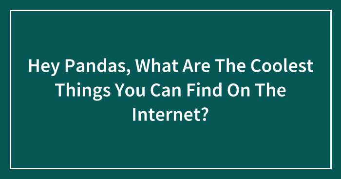 Hey Pandas, What Are The Coolest Things You Can Find On The Internet? (Closed)