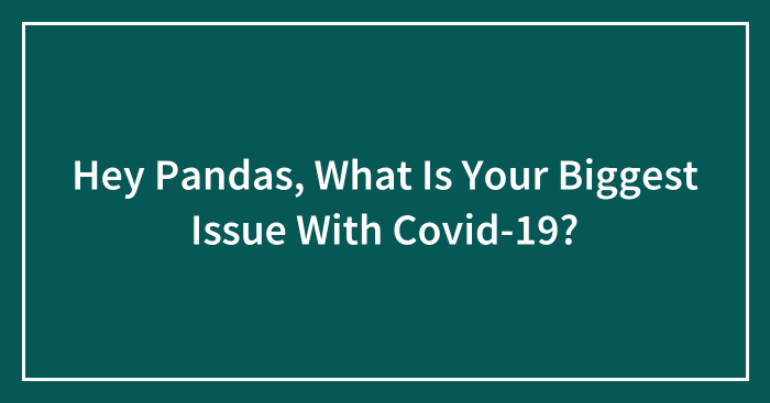 Hey Pandas, What Is Your Biggest Issue With Covid-19? (Closed)