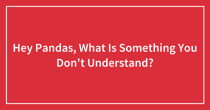 Hey Pandas, What Is Something You Don’t Understand? (Closed)