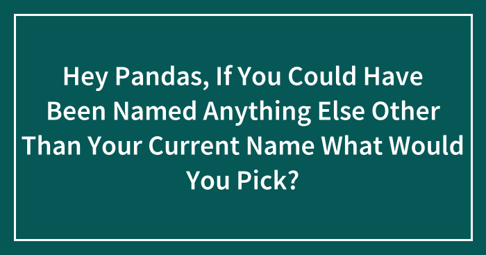Hey Pandas, If You Could Have Been Named Anything Else Other Than Your Current Name What Would You Pick? (Closed)