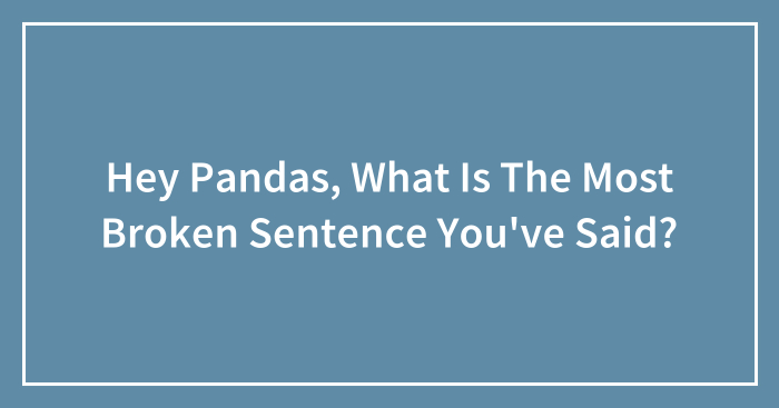 Hey Pandas, What Is The Most Broken Sentence You’ve Said? (Closed)