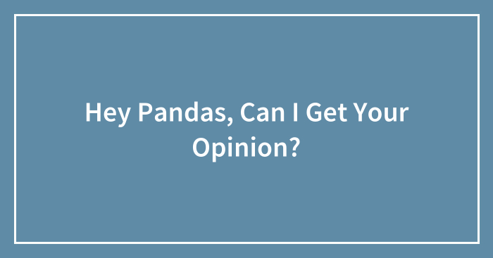 Hey Pandas, Can I Get Your Opinion?