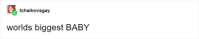 This Feral Cat Decided She Wanted To Live With Humans, So She Invited Herself Inside And Never Left This Feral Cat Decided She Wanted To Live With Humans, So She Invited Herself Inside And Never Left