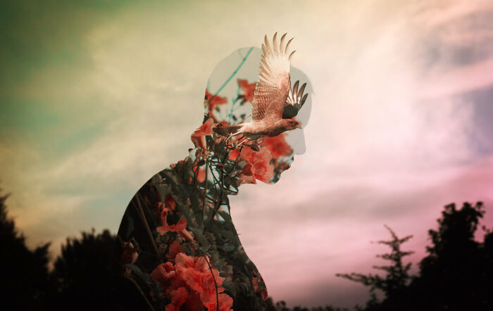 My Photographic Chronicle On Bipolar Disorder To Help You Understand It Better (25 Pics)