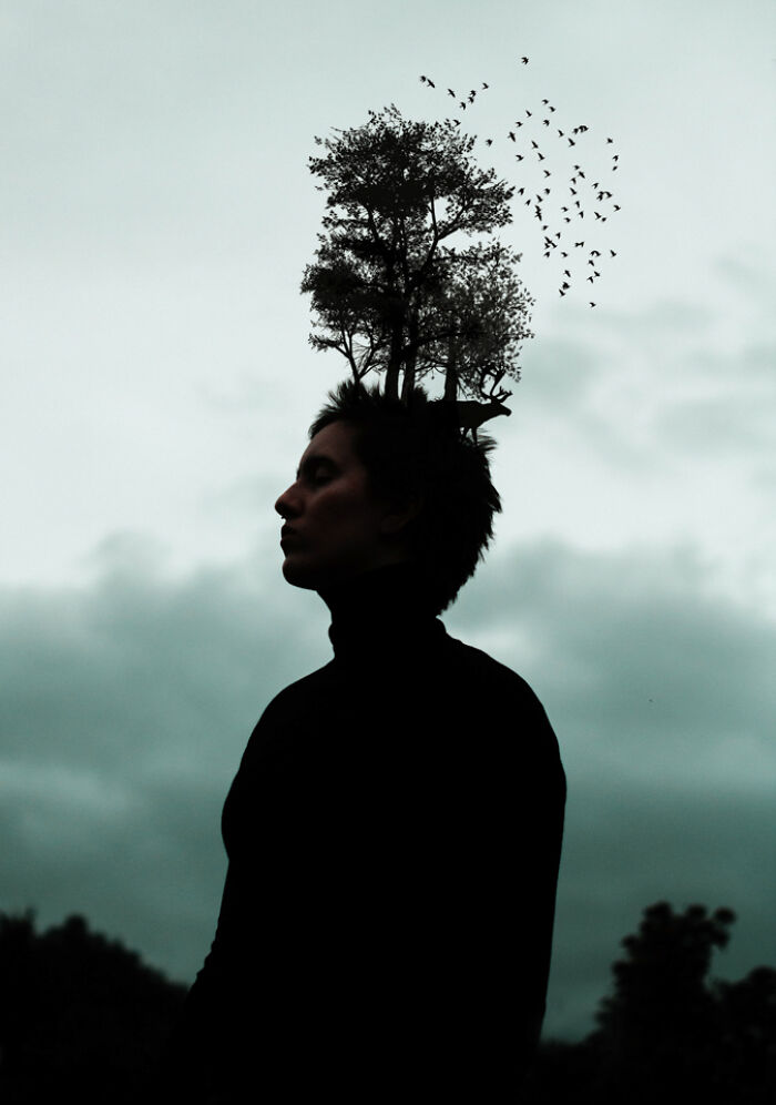 My Photographic Chronicle On Bipolar Disorder To Help You Understand It Better (25 Pics) My Photographic Chronicle On Bipolar Disorder To Help You Understand It Better (25 Pics)