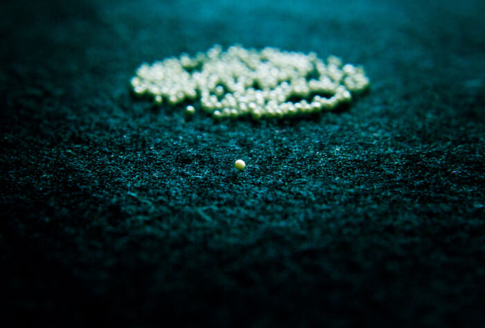 My Photographic Chronicle On Bipolar Disorder To Help You Understand It Better (25 Pics)