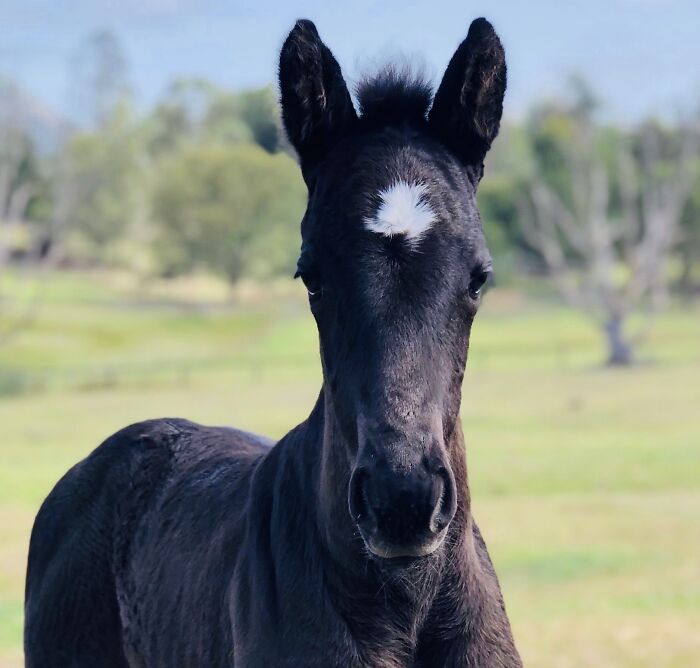 My Little Baby Secret