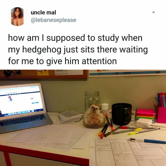 For A Moment, I Thought He Was Inside Of That Jar Behind Him