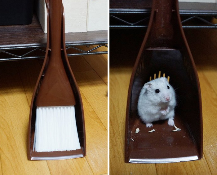 And The Winner Of Hide And Seek Goes To...