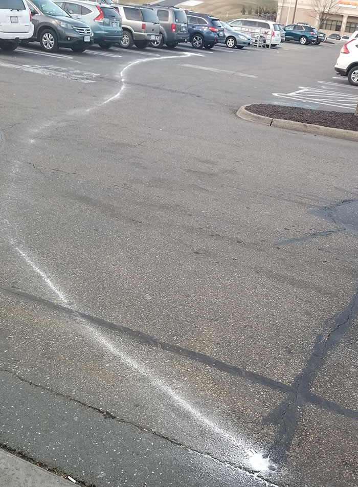 Wife Sent Me To The Store For Sugar On My Way Home And I Didn't Realize What Happened Until I Went To Put It In The Trunk