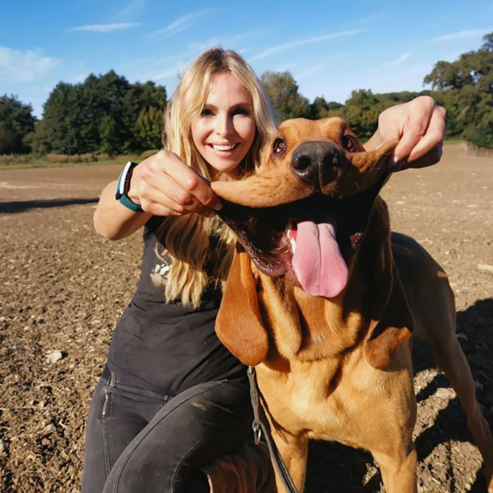 Those Big Jowls... I Want To Have Bloodhound