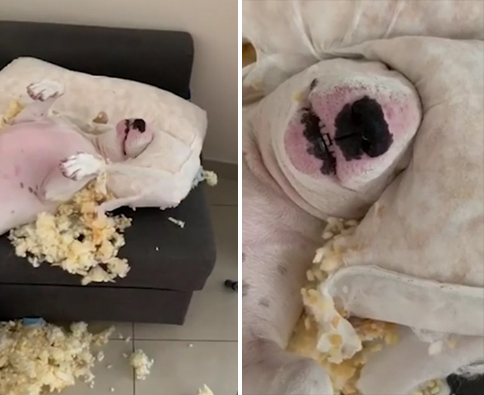 Chill Out, It's Just A Cushion!