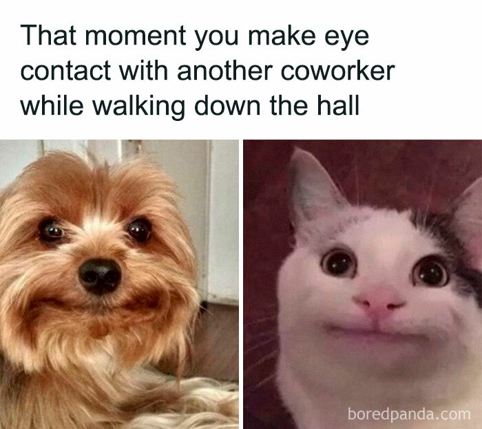 Posted It Somewhere Else First, Thought I'd Post It Here