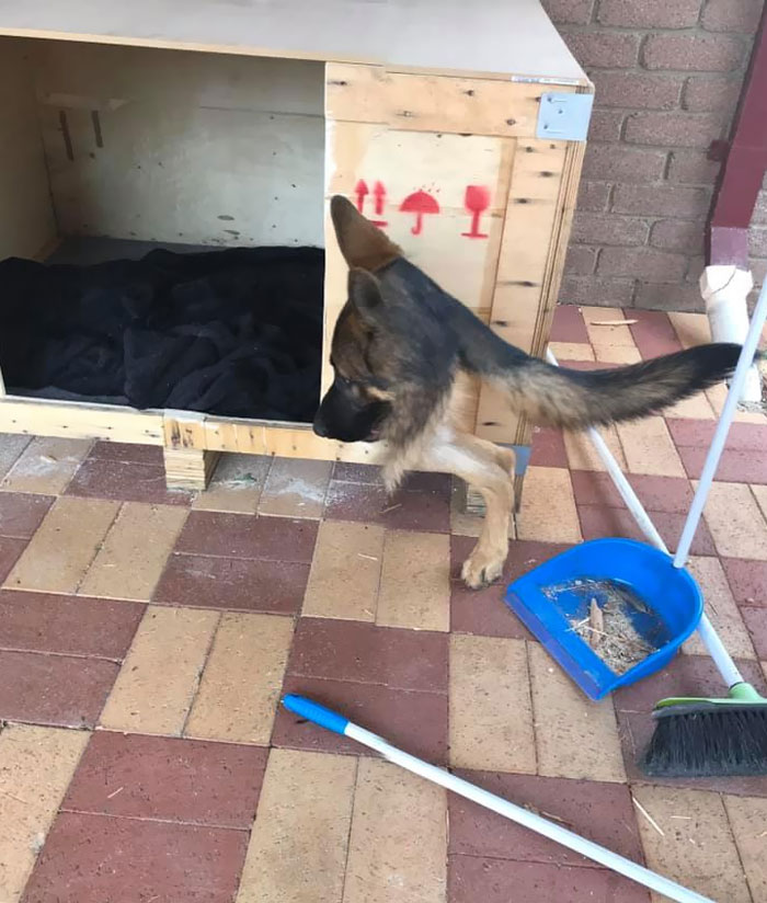 It’s My Time To Shine