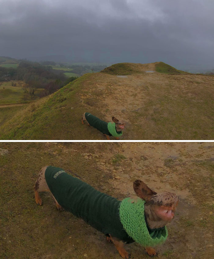 Pic Taken Just This Afternoon. Can Confirm, Makes Long Bois Suuuuper Long