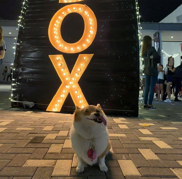 What Happens When Dad Takes A Photo