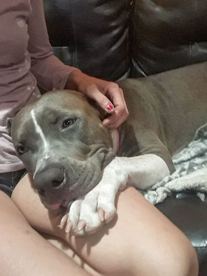 My Dog Loves My GF More. Apparently, The Girls Gotta Stick Together