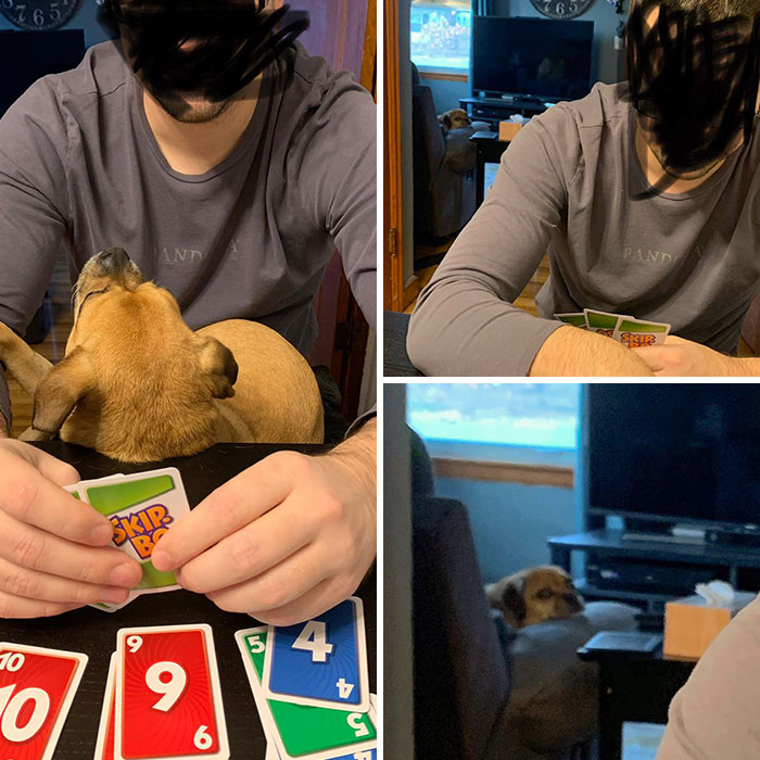 My Dog Is Obsessed With My Husband