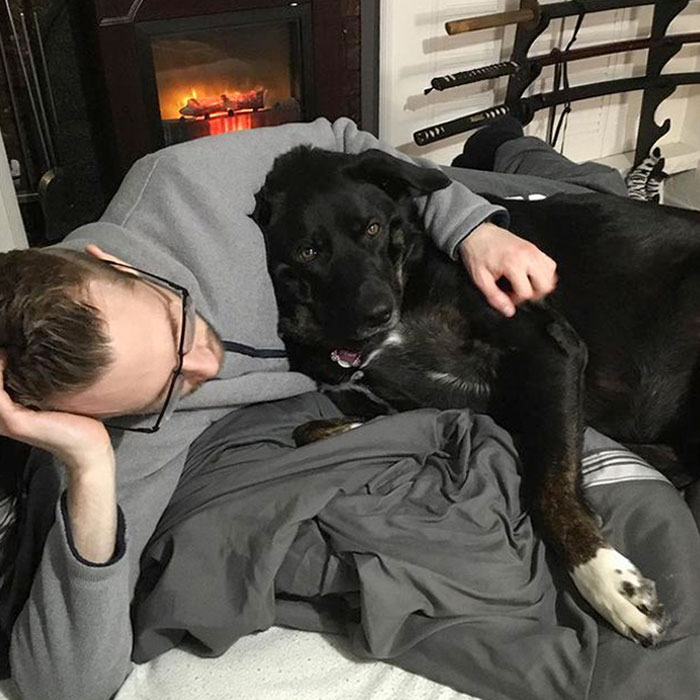 My Dog Stole My Boyfriend