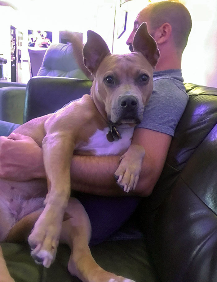 She Likes To Stare At Me When She’s In My Husband’s Arms To See If It Makes Me Jealous