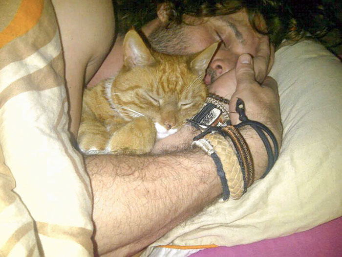 Came Home Last Night To Find My Boyfriend And Our 13lbs Cat Genghis Khan Sleeping Like This. They're So Fluffy