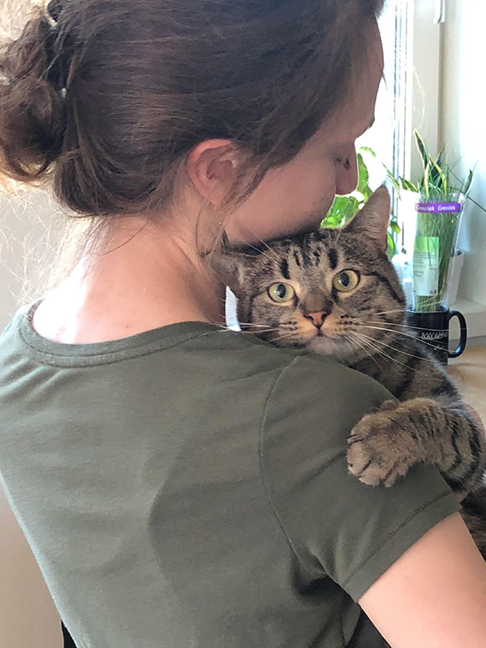 My Cat Is Overly Attached To My Wife