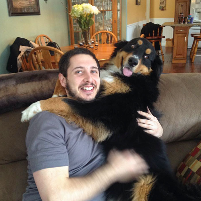 GF's Dog Was Happy To Meet Me