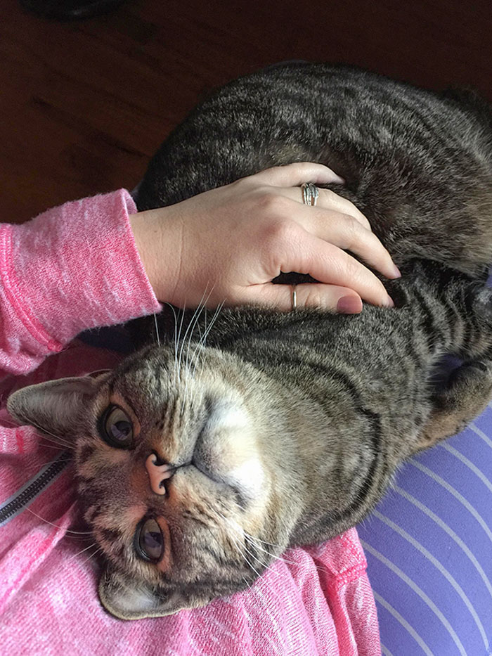 This Smug Bastard, Stealing My Wife's Heart