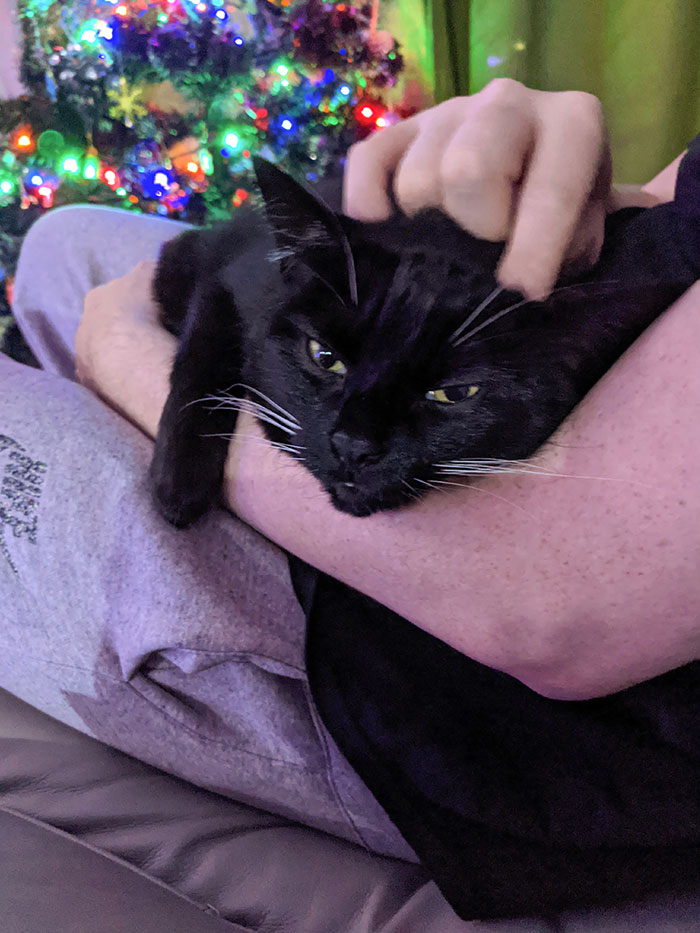 She's Simply Here To Steal My Man