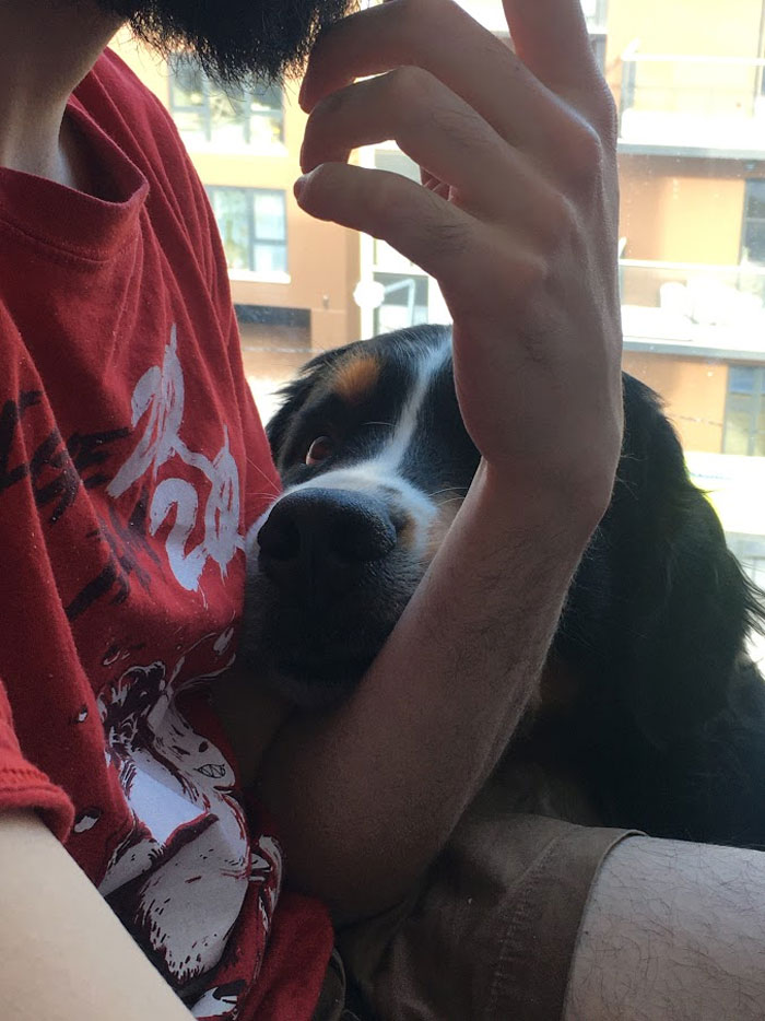 Trying To Steal My BF Since 2019