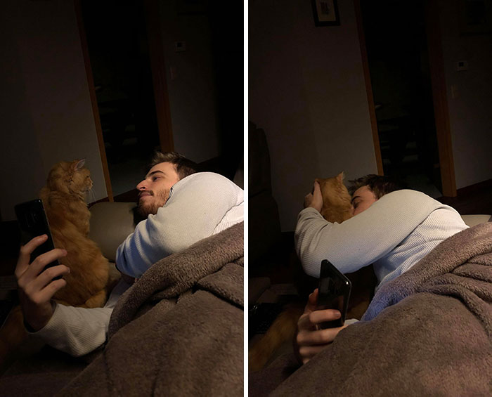 I Caught My BF With My Cat. No Words