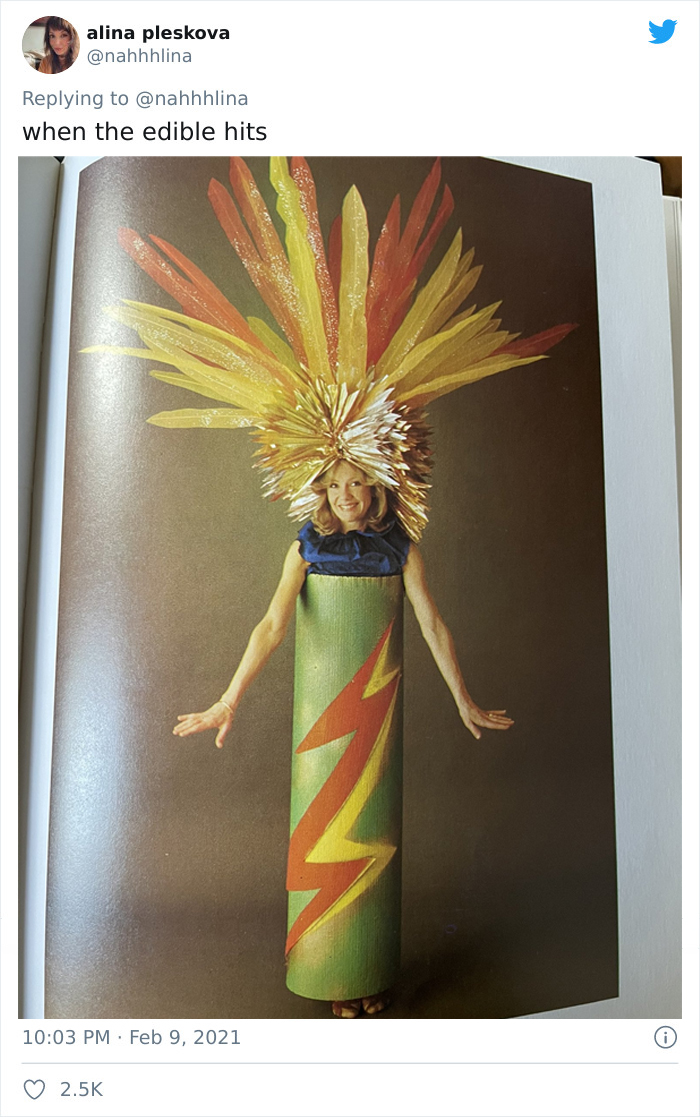 Funny-Vintage-Costumes-Book-Jane-Ashers