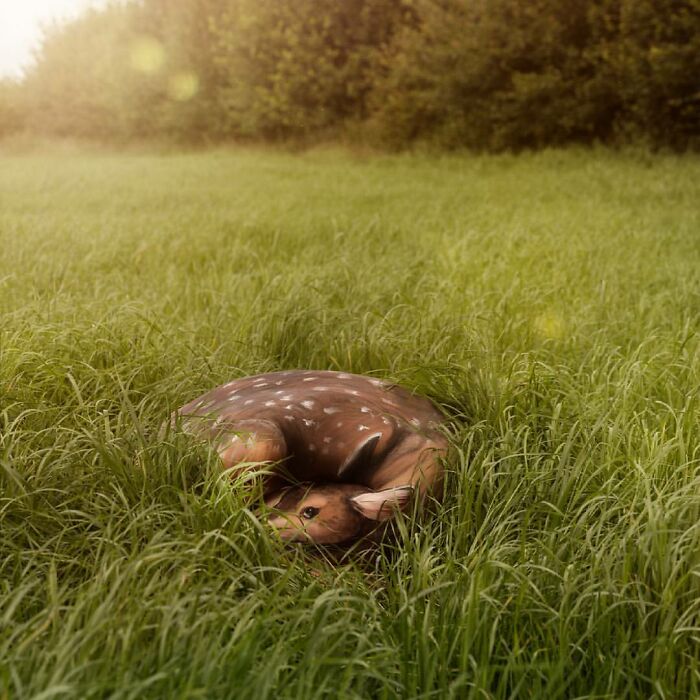 The Animals Painted On This Artist's Contorted Models Will Stir Your Mind