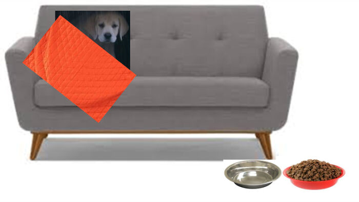 A Warm Blanket, Food, Water, A Couch To Sit On, And A Home!