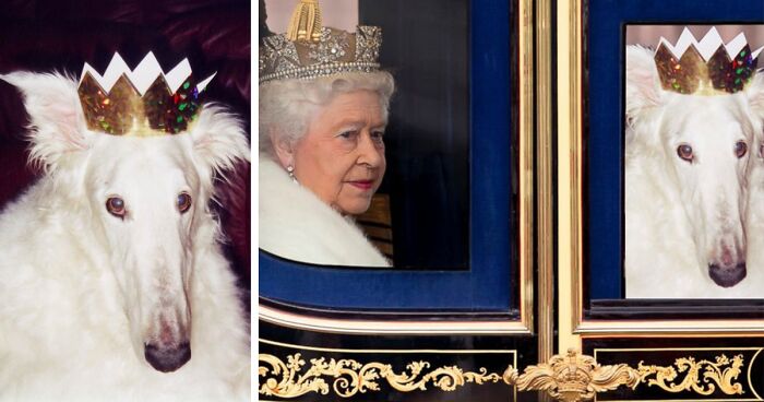 Hey Pandas, Photoshop This Dog Pic (Closed)