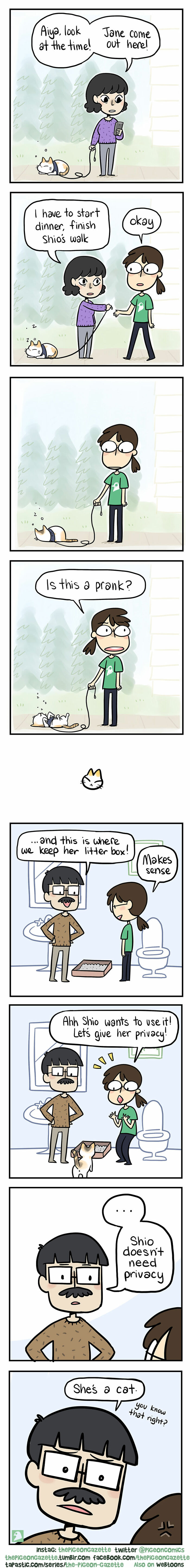 Hilarious-Awkward-Comics-The-Pigeon-Gazette